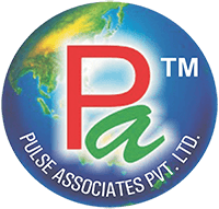 Pulse Associates